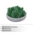thumbnail image 3 of Uxcell 3pcs 1.26 OZ Moss Fake Craft Moss Artificial Moss Natural Preserved Moss for Craft Arts Floral (Forest Green), 3 of 6