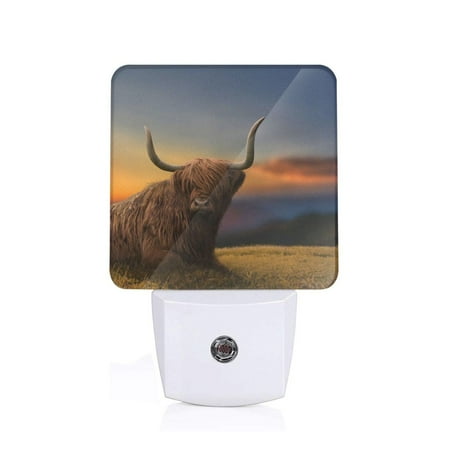 

Naloa Yak Night Lights Plug into Wall Dusk to Dawn Sensor Warm White Led Night Light 0.5W Nightlight suit for Adults Bedroom Bathroom Hallway Kitchen