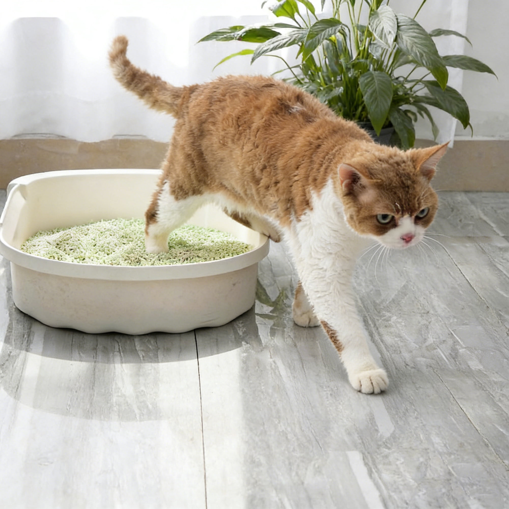 PURPURLAND Tofu Cat Litter 8.8/17.6LB Clumping Cat Litter, Odor Control With Green Tea Scent, Dust Free And Easy To Agglomerate, Disposable In The Toilet