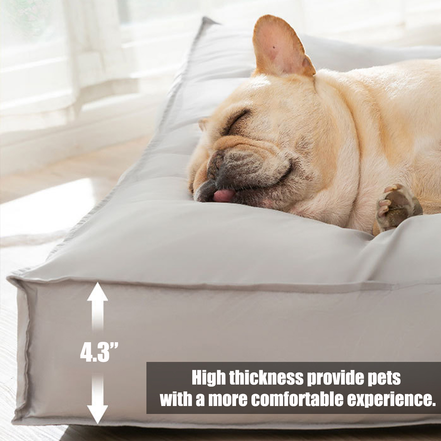 Dog Bed, Waterproof Dog Bed with Removable Washable Cover, Pet Bed Mat Suitable for Cats Small Medium Dogs 1-40 Pounds Gray L