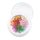 thumbnail image 4 of 3D Real Dry Acrílico Nail Decoración con caja 11 jinwen Flor seca de uñas, 4 of 8