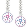 Team Pink or Team Blue Question Mark Danglers (2 ct)