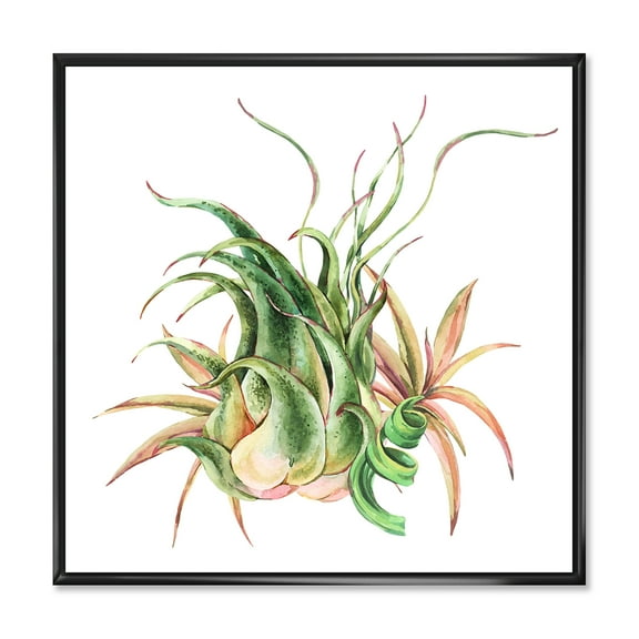 Designart 'Tropical Leaves Air Plant Succulent On White' Farmhouse Framed Canvas Wall Art Print