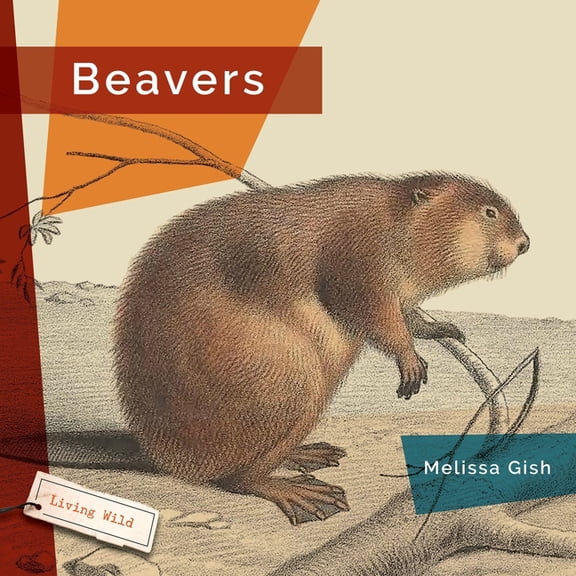 Beavers, (Paperback)