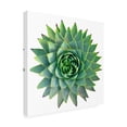 thumbnail image 2 of Cora Niele 'Succulent Cut Out 09' Canvas Art, 2 of 3