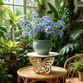 thumbnail image 5 of Wooden Plant Stand, Round Tabletop Plant Holder for Small Pots, Decorative Flower Pot Stand for Desk, Home, Office, Natural Wood Plant Decor, 5 of 9