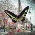 thumbnail image 2 of Eiffel tower with butterfly and roses overlay Poster Print by Assaf Frank (12 x 12), 2 of 2