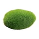 thumbnail image 2 of Plantas de simulación de roca de artificial Bola de Decoración Paisaje DIY Piedra cubierta de para jardines de hadas Elaboración de Macarena Piedra, 2 of 8