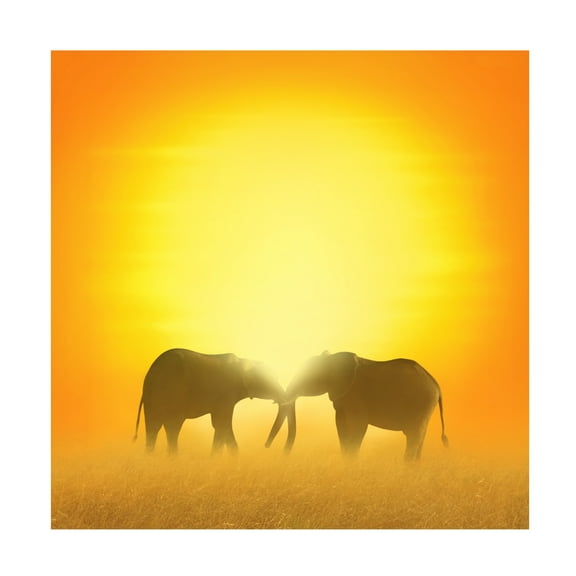 Ben Heine 'In Love' Canvas Art