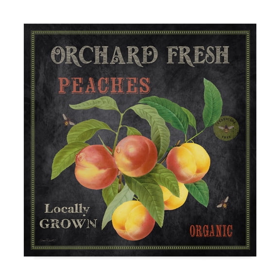 Jean Plout 'Orchard Fresh Peaches' Canvas Art