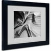 Trademark Fine Art "Snake Canyon" Matted Framed Art by Moises Levy, Black Frame