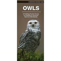 Waterford Discovery Guide: Owls : A Folding Pocket Guide to Familiar Species Worldwide (Other)