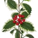 thumbnail image 3 of Guirnalda navideña de frutos rojos con piñas, guirnalda de frutos artificiales, adornos navideños para chimeneas de interior y exterior, vacaciones de invierno, decoración navideña para el, 3 of 5