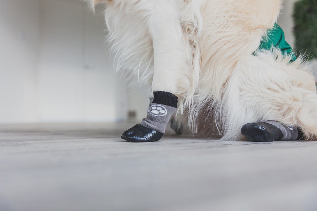 Random M MonkeyJack Set 4 Anti-slip Pet Dog Socks Shoes Boots Warm Cotton Socks Paw Protectors