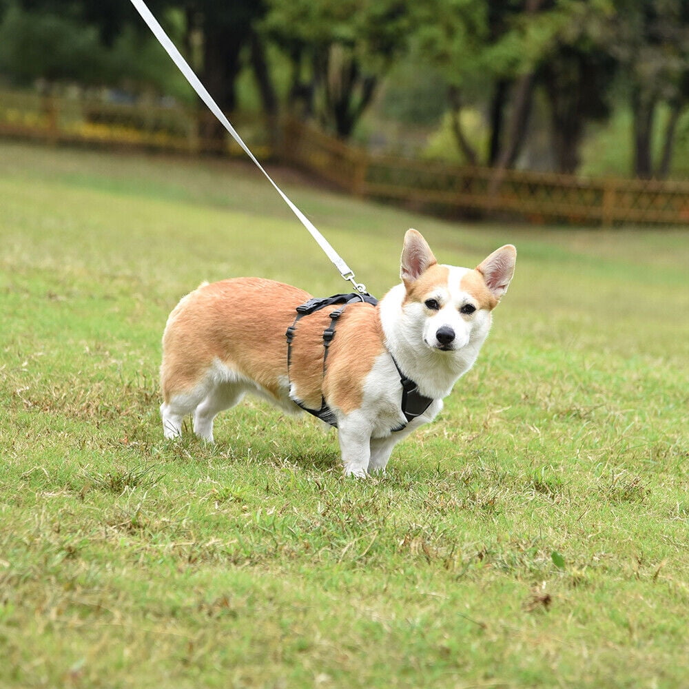 Pet Artist No Pull Dog Harness Escape Proof Reflective Adjustable Sport Vest with Handle Waterproof