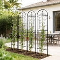thumbnail image 3 of 4 Pack Metal Garden Trellis 71" x 19.7" Rustproof Trellis for Climbing Plants Outdoor Flower Support Black, 3 of 7