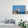 thumbnail image 3 of Trademark Fine Art 'Love Birds' Canvas Art by American School, 3 of 4