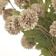 thumbnail image 3 of Flores artificiales Briful 12 unidades de crisantemos Kiku, color beige, 53 cm, 3 of 8
