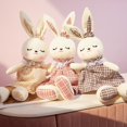 thumbnail image 2 of Cartoon / Cute / Soft / Rabbit Plush Toys / Long Ear Squint Plaid Skirt Rabbit Doll / Children's Birthday GiftWhite100cm Deng Xun unisex, 2 of 2