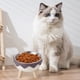 thumbnail image 4 of Stainless Steel Pet Bowl Non-S Elevated Feeder for Cats and Small Dogs, Anti-Knockover Double Layer Food Water Dish with High Legs for Easy Feeding, No Chin Strain Design, Durable Plastic Base, 4 of 6