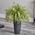thumbnail image 3 of Nearly Natural 33" Spider Artificial Plant in Cylinder Planter, Green, 3 of 3
