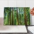 thumbnail image 2 of National Parks Cutting Board, View of Tree Branches in Scenic Springtime Conifers Sequoia Art Prints, Decorative Tempered Glass Cutting and Serving Board, Small Size, Green Brown, by Ambesonne, 2 of 5