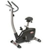 Edge 482 Upright Bike