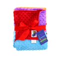 thumbnail image 2 of Luxury Minky Dot Plush Rainbow Flag Throw Blanket, 39" x 57", 2 of 8
