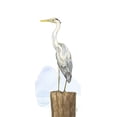 thumbnail image 2 of Reed, Tara 12x24 Black Ornate Wood Framed with Double Matting Museum Art Print Titled - Birds of the Coast Panel II, 2 of 4