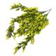 thumbnail image 4 of Guirnalda de lavanda artificial simulación floral decoración colgante de pared vid de plástico falso flor de ratán, amarillo 2 piezas kenally HA8169-05B, 4 of 6