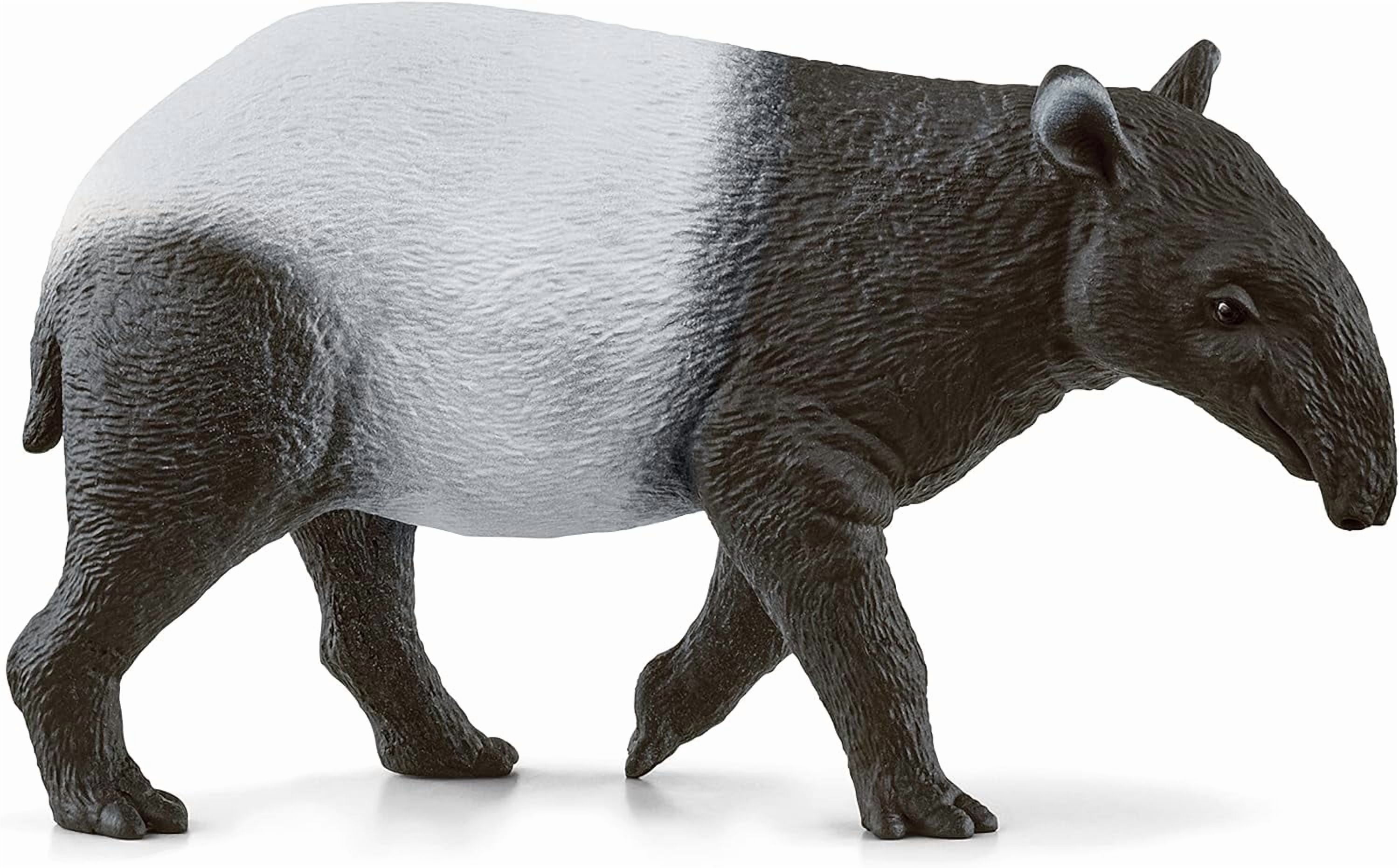 Schleich Wild Life - Tapir Figurine - Durable and Educational Animal Figures - Kids Ages 3+