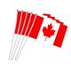 thumbnail image 2 of Banderas canadienses pequeñas de 14 x 21 cm, 10 unidades, con astas de plástico (Nc011_Lucky_B), 2 of 4