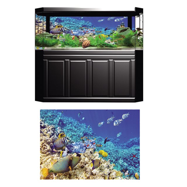Etiqueta Engomada Colco Fondo del Tanque de Peces Adornos Multicolor XS