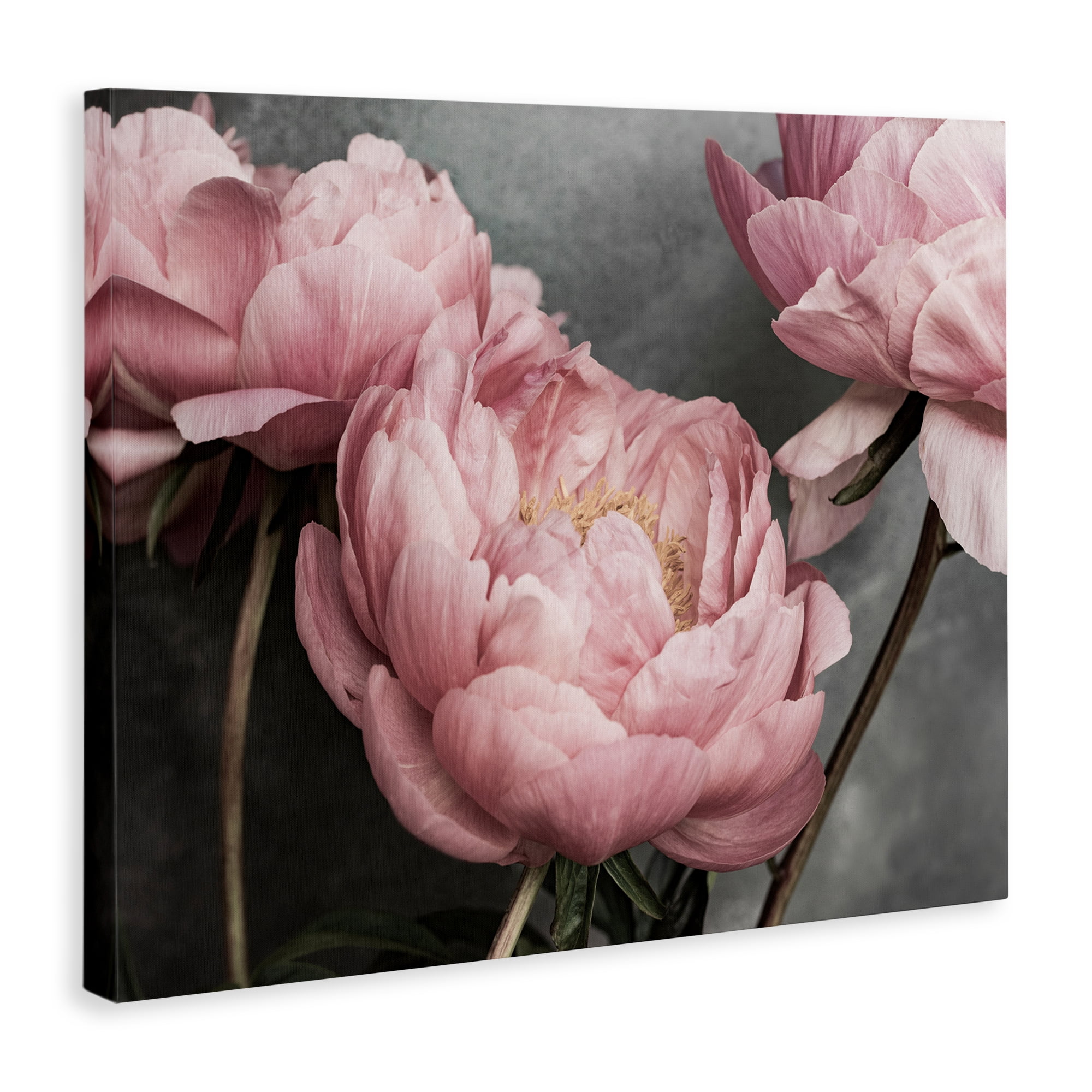 Stupell Industries Pink Peonies Trio Plants & Flowers Painting Wrapped Canvas Art Print Wall Art, 48 x 36