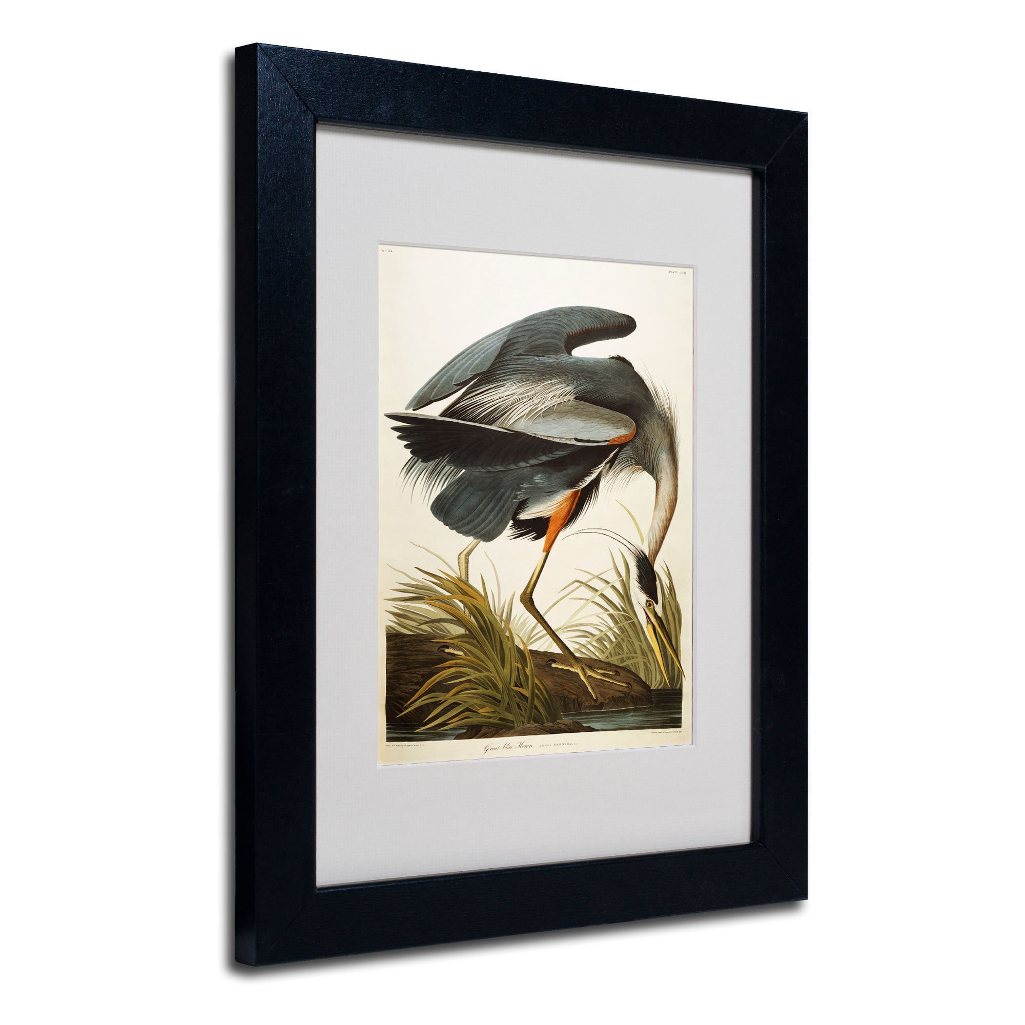 Trademark Fine Art "Great Blue Heron" Canvas Art by John James Audubon, Black Frame