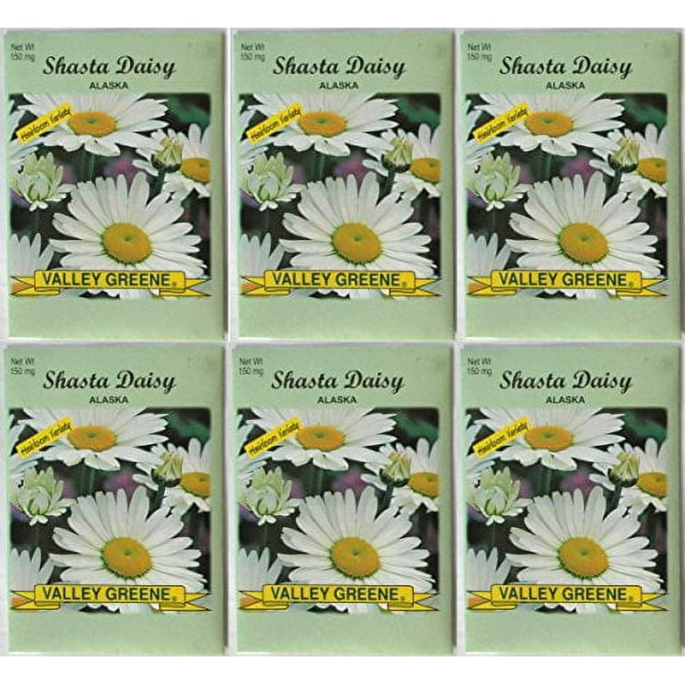 Valley Greene (6 Pack) 275 mg/Packages Calendula Pacific Beauty