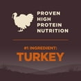 thumbnail image 5 of Wellness CORE Dry Dog Food, Grain Free, High Protein, Natural, Original Turkey & Chicken Recipe, (4-Pound Bag), 5 of 9