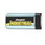Energizer Industrial Alkaline D Batteries, 12 Count