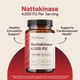 thumbnail image 5 of Nattokinase Dietary Supplement from Natto, 4000 FU per Serving, Vegan & Non-GMO, 60 Capsules, 5 of 9