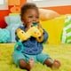 thumbnail image 4 of Colgante Baby Einstein para Carreola, 4 of 4