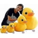 thumbnail image 2 of 30/50/70cm Plush Yellow Duck Teddy Soft Toy Stuffed Animal Sofa Devcoration For Kids Birthday, 2 of 5
