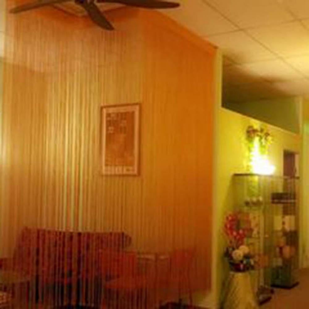 1 Piece Rod Pocket Decorative Door String Curtain Wall Panel Fringe