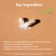 thumbnail image 2 of Suplemento Double Wood L-treonato de magnesio, 2000 mg, 100 cápsulas, 2 of 4
