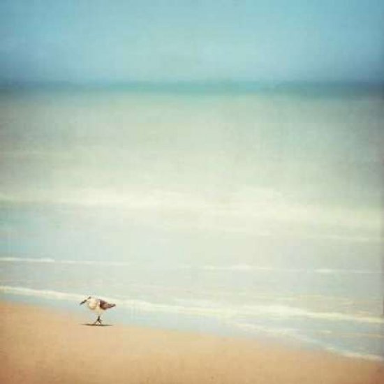 Get Your Feet Wet Canvas Art - Carolyn Cochrane (24 x 24)