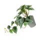 thumbnail image 1 of Matsuzay Plantas artificiales Hoja Planta falsa Interior Exterior de boda falsa Hogar Paisaje de Navidad Regalo de inauguración de la casa Decoración hoja de sandía/Maceta, 1 of 6