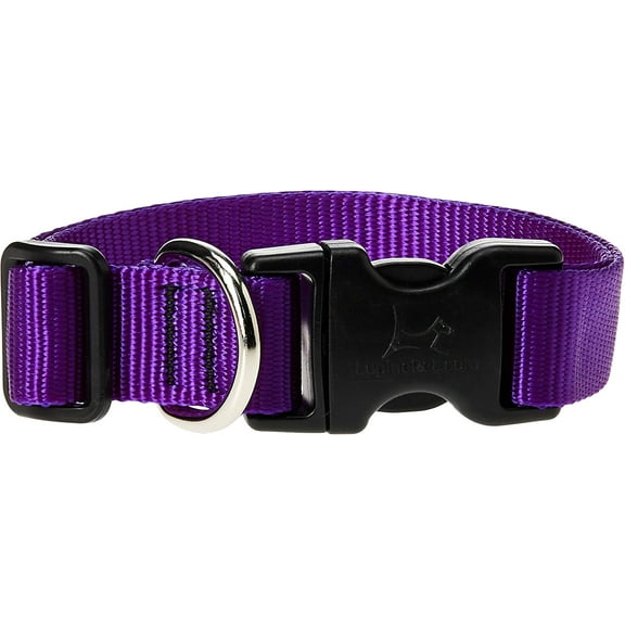 3/4in Purple 13-22 Adj Dog Collar