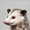 Capybara, Cute, variant on Black cat with coffee decorative painting/canvas art, suitable for living room, bedroom, kitchen, office, cafe wall decoration.