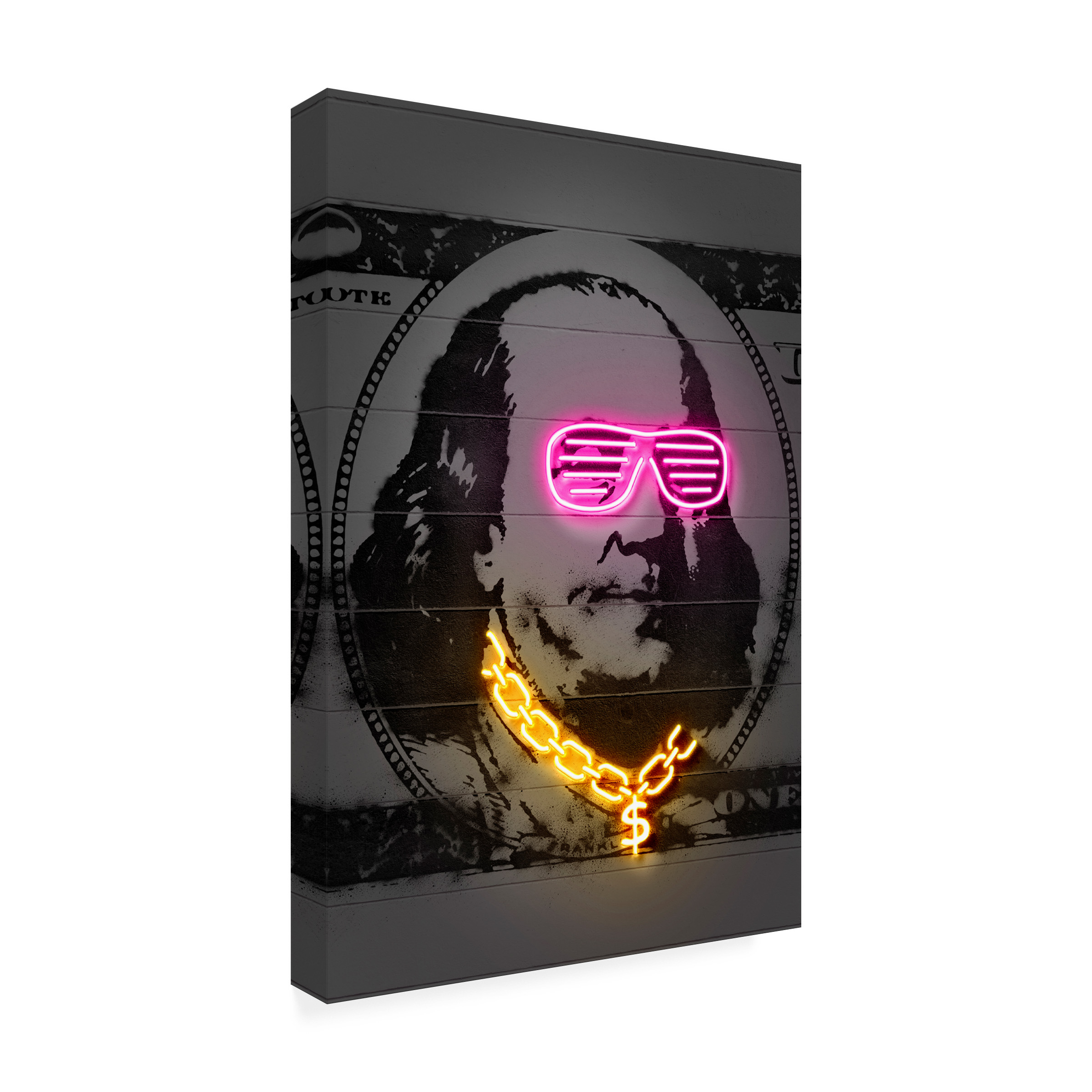 Trademark Fine Art 'Franklin' Canvas Art by Octavian Mielu