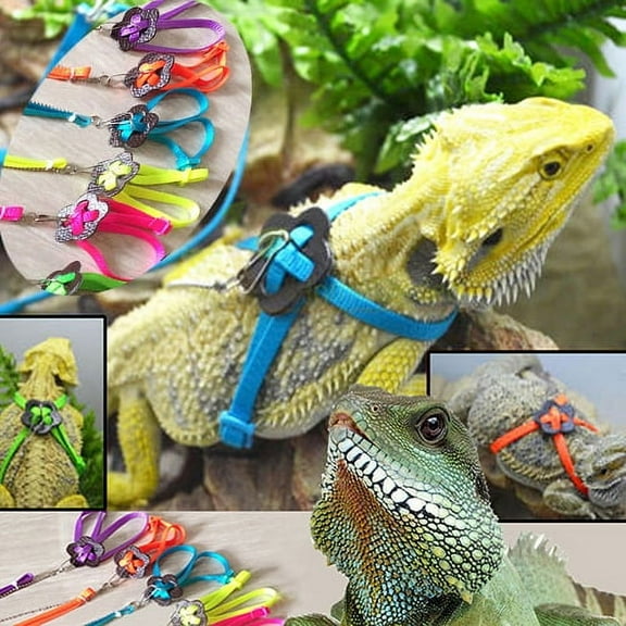 Walbest Adjustable Turtle Leash Lizard Leash Tortoise Harness Safety Strap, Pet Collar Leash Tortoise Walking Lead Control Rope for Pet Reptile