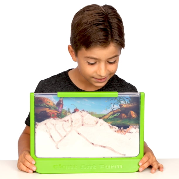 Uncle Milton Giant Ant Farm - STEM Toy, Viewing Area for Live Ants
